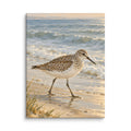 Sandpiper by the Quiet Sea canvas print, 12 × 16 inches, showing a sandpiper beside a peaceful shore