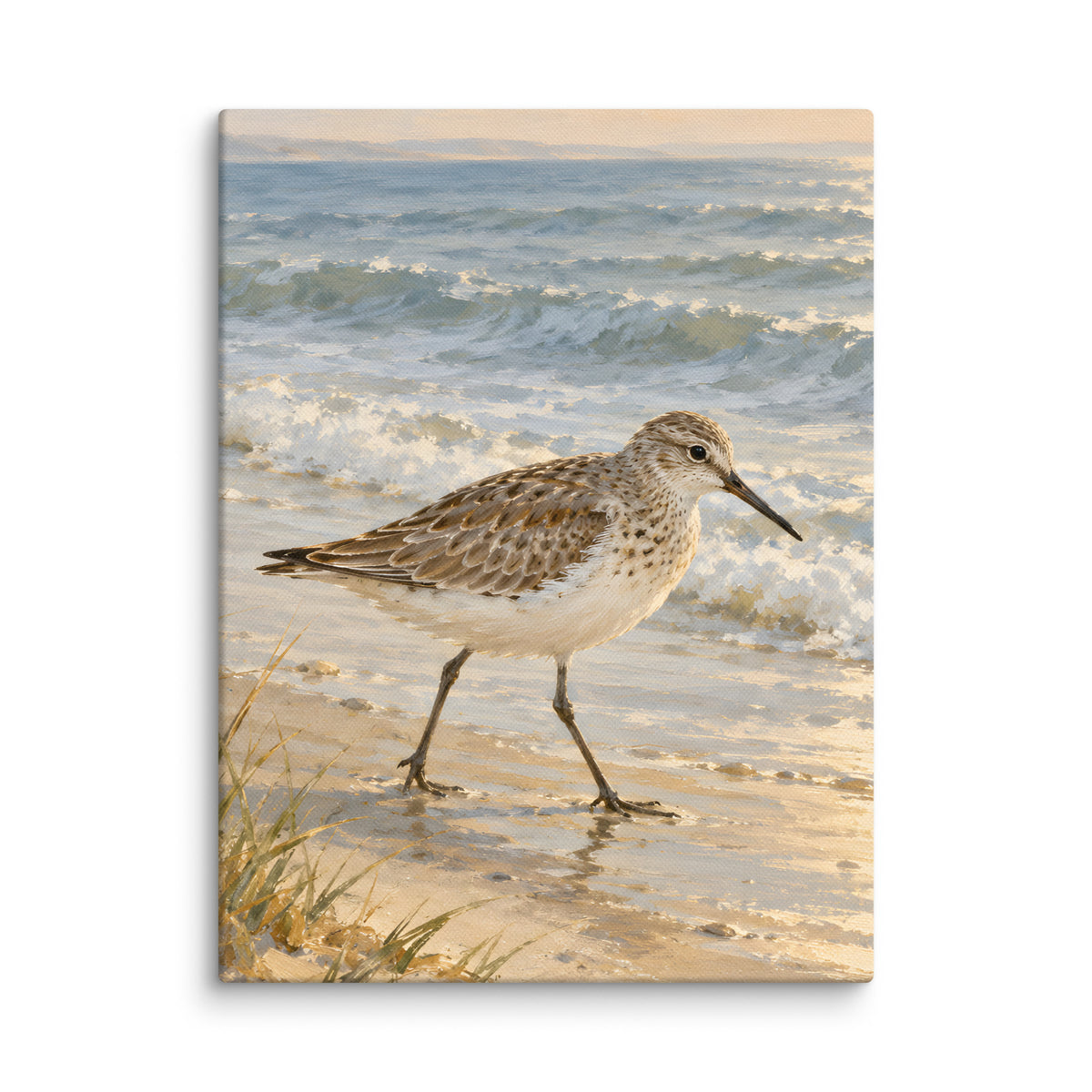 Sandpiper by the Quiet Sea canvas print, 12 × 16 inches, showing a sandpiper beside a peaceful shore