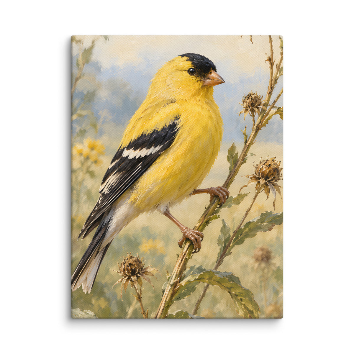 Goldfinch on Seed Stems canvas print, 12 × 16 inches, showing a goldfinch among delicate seed stems