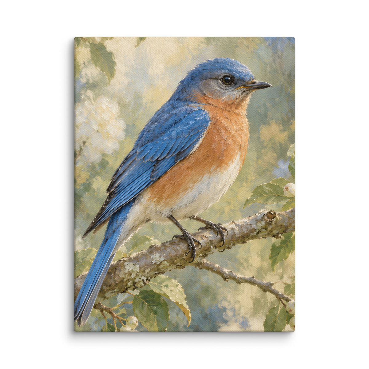 Bluebird on the Garden Branch canvas print, 12 × 16 inches, showing a bluebird perched on a garden branch