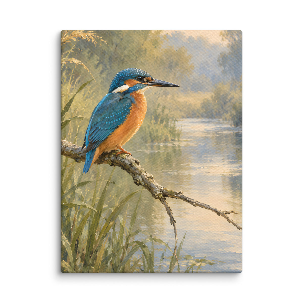 Kingfisher Above Still Water canvas print, 12 × 16 inches, showing a kingfisher perched above a quiet stream