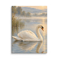 Swan on Quiet Water canvas print, 12 × 16 inches, showing a white swan on tranquil water