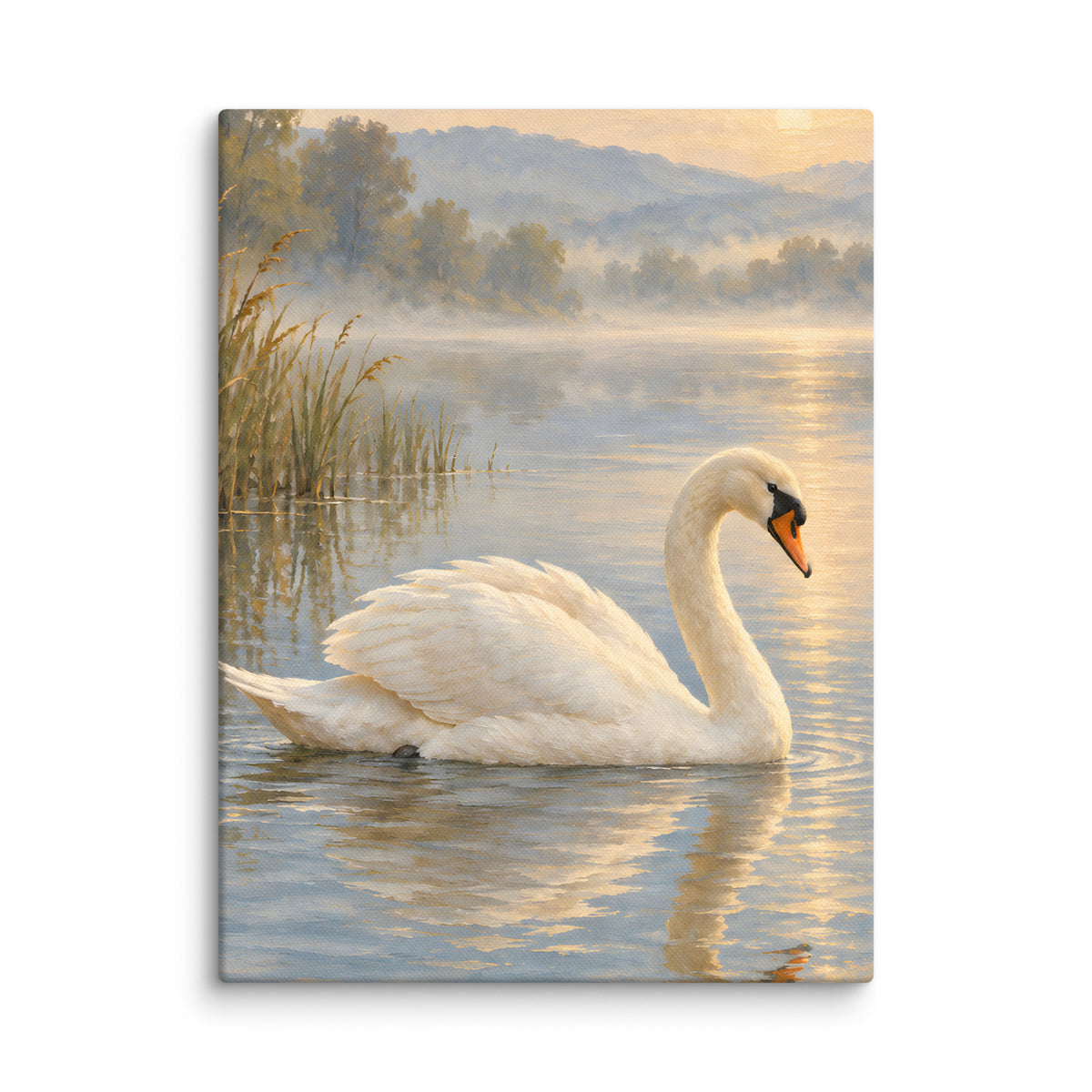 Swan on Quiet Water canvas print, 12 × 16 inches, showing a white swan on tranquil water