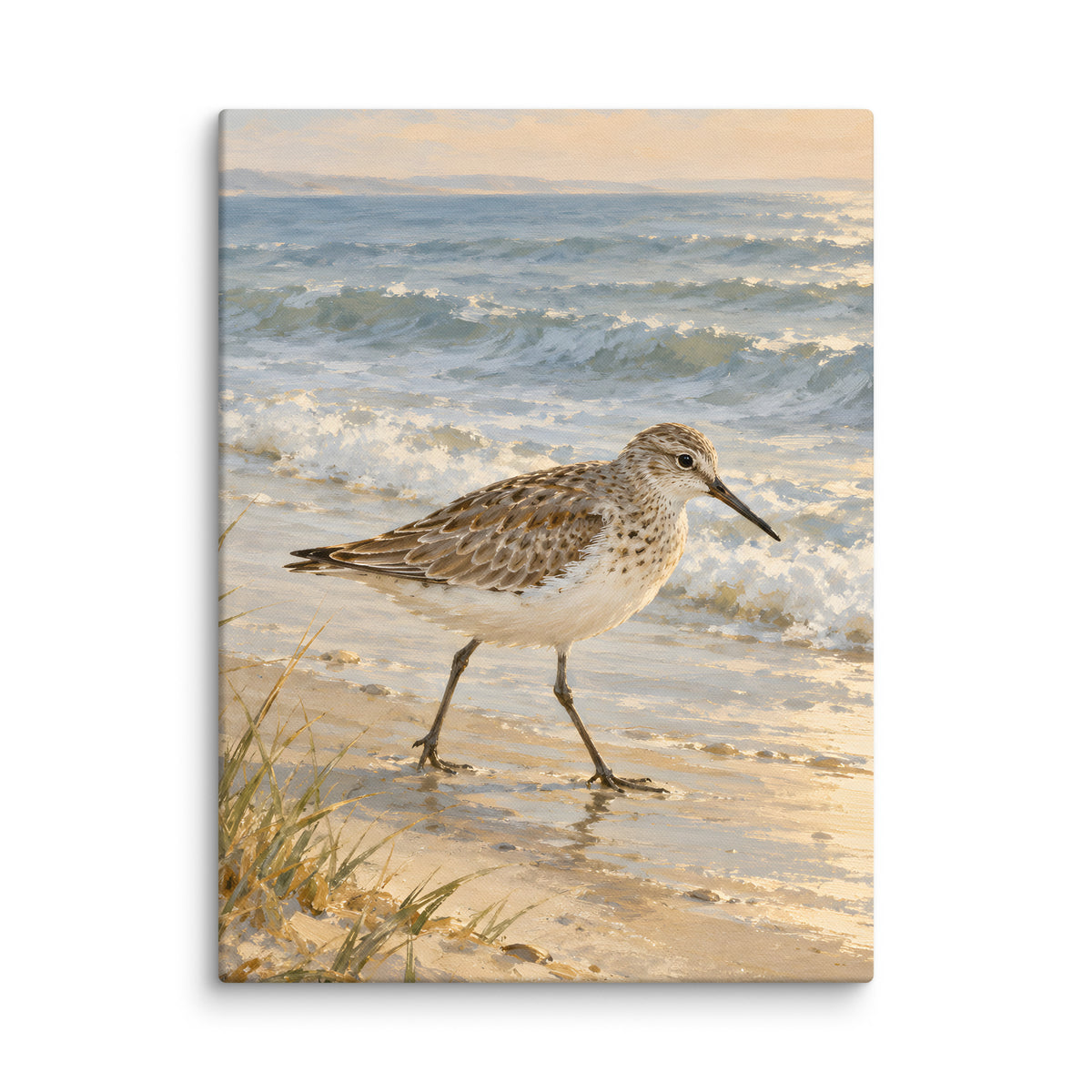 Sandpiper by the Quiet Sea canvas print, 18 × 24 inches, showing a sandpiper beside a peaceful shore