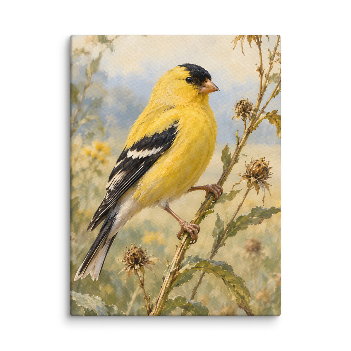 Goldfinch on Seed Stems canvas print, 18 × 24 inches, showing a goldfinch among delicate seed stems