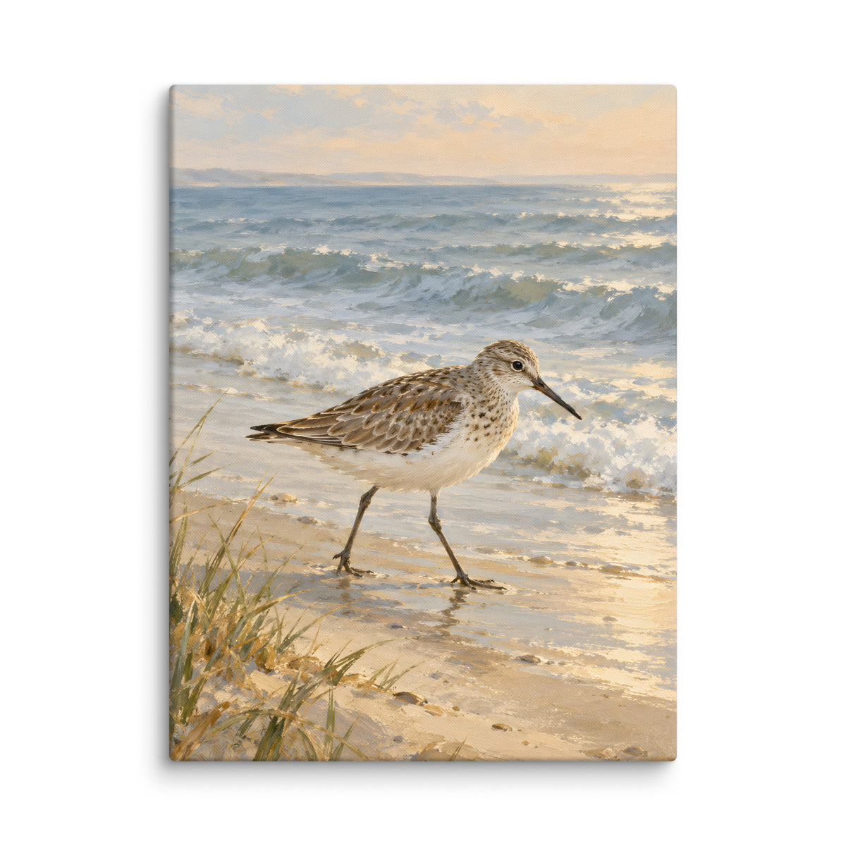 Sandpiper by the Quiet Sea canvas print, 24 × 32 inches, showing a sandpiper beside a peaceful shore