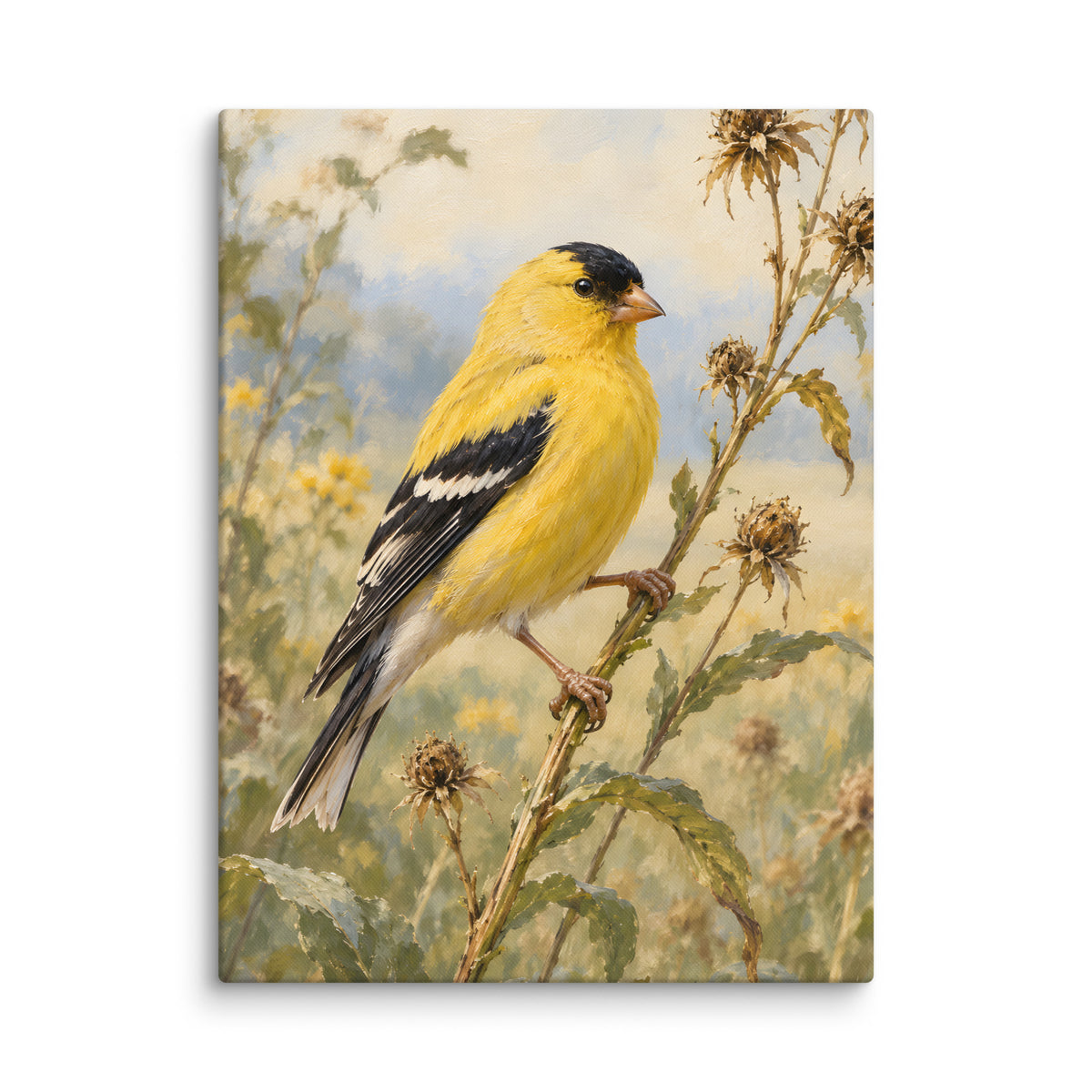 Goldfinch on Seed Stems canvas print, 24 × 32 inches, showing a goldfinch among delicate seed stems