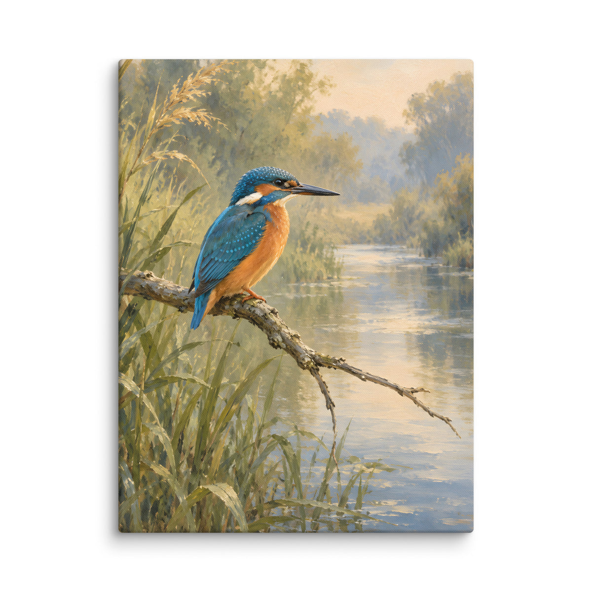 Kingfisher Above Still Water canvas print, 24 × 32 inches, showing a kingfisher perched above a quiet stream