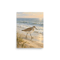 Sandpiper by the Quiet Sea matte poster, 12 × 16 inches, showing a sandpiper beside a peaceful shore