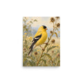 Goldfinch on Seed Stems matte poster, 12 × 16 inches, showing a goldfinch among delicate seed stems