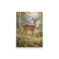 Doe in the Birchwood matte poster, 12 × 16 inches, showing a gentle doe among birch trees