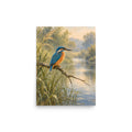 Kingfisher Above Still Water matte poster, 12 × 16 inches, showing a kingfisher perched above a quiet stream